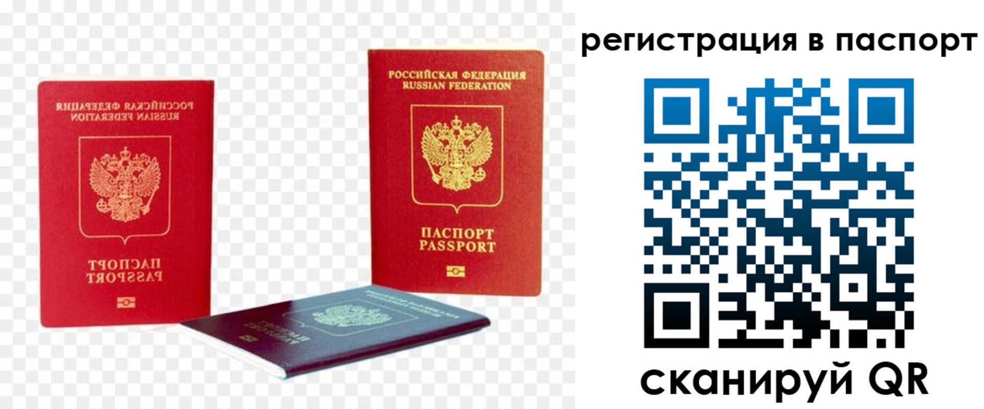 временная регистрация поиск в Элисте